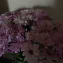 onehalfoftheit avatar