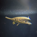 onehundredgar avatar