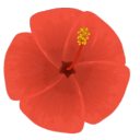 onelonelystory avatar