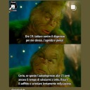 onelovemiusic avatar