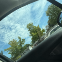 onemidnightrose avatar