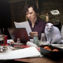 onemillioncatsplussherlock avatar