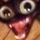 onemorebonktonight avatar