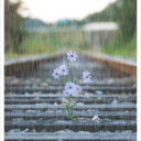 onemoredrinktonight avatar