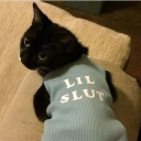 onemoretime2012 avatar