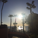 oneofthesesdays avatar