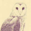 onequarteryellow1 avatar