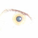 onerandombanana avatar