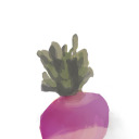 onesarcasticturnip avatar