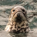 onesourceofbadinformation avatar