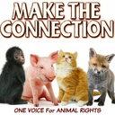 onevoiceforanimalrights avatar