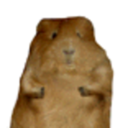 onewholebird avatar