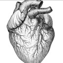 onewiththeloudmind avatar