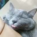 onewomantwohearts avatar