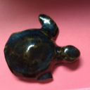 onexfinnedxturtle avatar