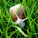 oneyearwiththisgirl avatar