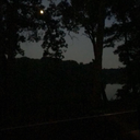 onierophrenia avatar