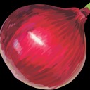 onionundertheradar avatar