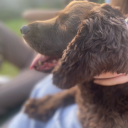 online-trinkets avatar