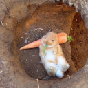 onlineboudoir avatar