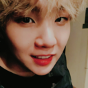 only-bts-reblogs avatar