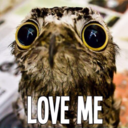 only-happy-thoughts avatar