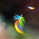 only-your-sky avatar