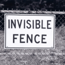 onlyanticlimactic avatar