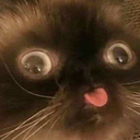 onlybassoon01 avatar