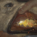 onlydogsreallygetme avatar