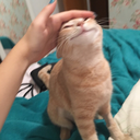 onlyfools-fall-foryou avatar