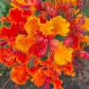 onlygoaroundonce67 avatar