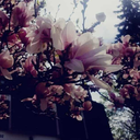 onlyinthisdunya avatar