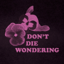 onlylivinglizzy avatar