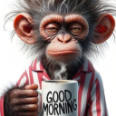 onlyphotos001 avatar