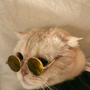 onlystudytired-blog avatar