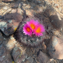 onlysunscreen avatar