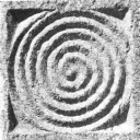 onorthochrasaei avatar