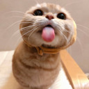 onsekizhaziran avatar