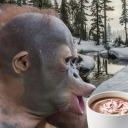 ontheknifesedge avatar