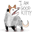 onthisblankpage avatar