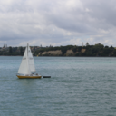 ontopofthecity avatar