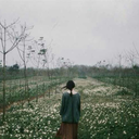 onuncuweasley avatar