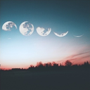 onyedimdehayatimbitti avatar