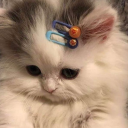 onyuzbinmilyonbaloncuk avatar