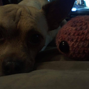 oodlesfrommynoodle avatar