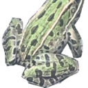 oofowchmybones avatar