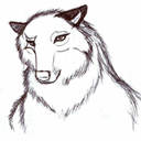 ookamicirekun avatar