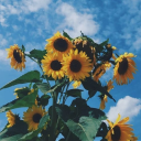 ookyspookyandkookyy avatar