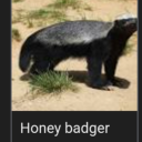 ooooshiny1315 avatar